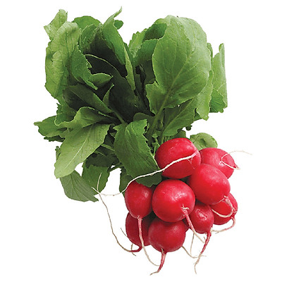 Củ cải đỏ baby