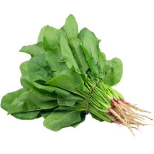 Cải bó xôi hữu cơ