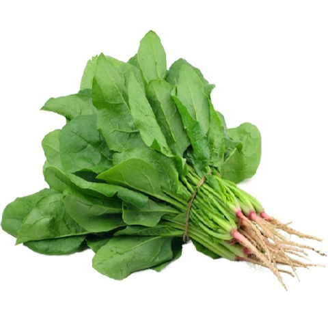 d17704_2243240b0d184daf986f1ecfd84f6e67_large