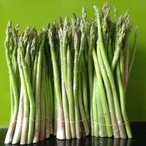 mang-tay-sach-e1497259347695-1