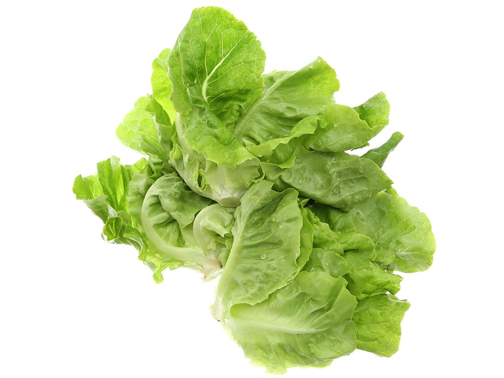 xa-lach-bup-mo-tui-500g-202009300003182642