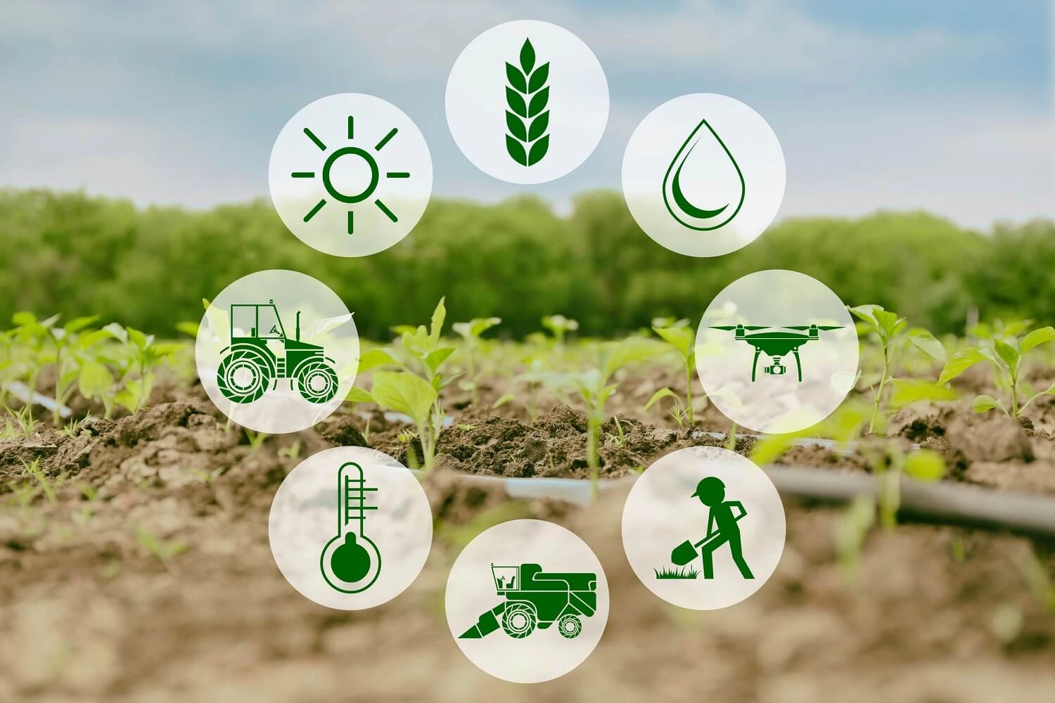 CÔNG TY CỔ PHẦN ĐẦU TƯ THƯƠNG MẠI QUỐC TẾ ÂU LẠC